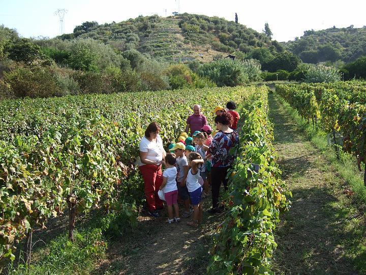 Agriturismo Parra Santa Lucia del Mela Εξωτερικό φωτογραφία