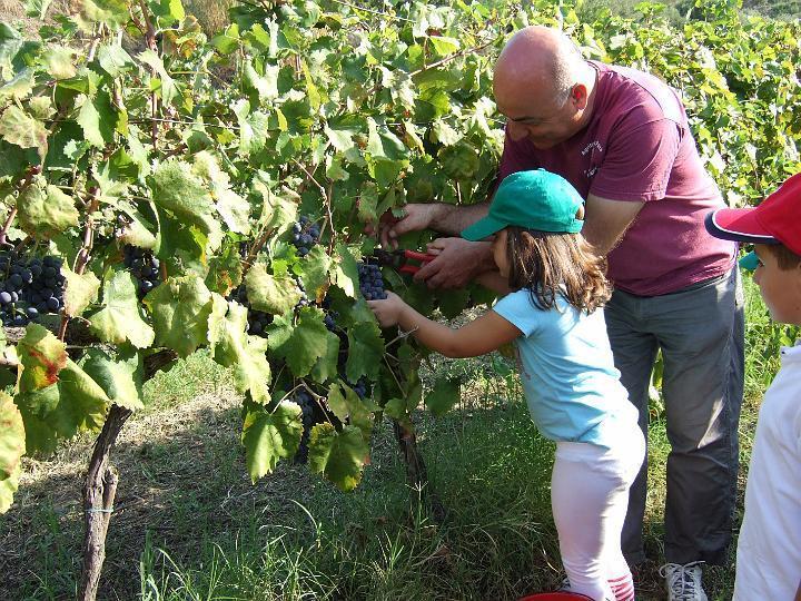 Agriturismo Parra Santa Lucia del Mela Εξωτερικό φωτογραφία